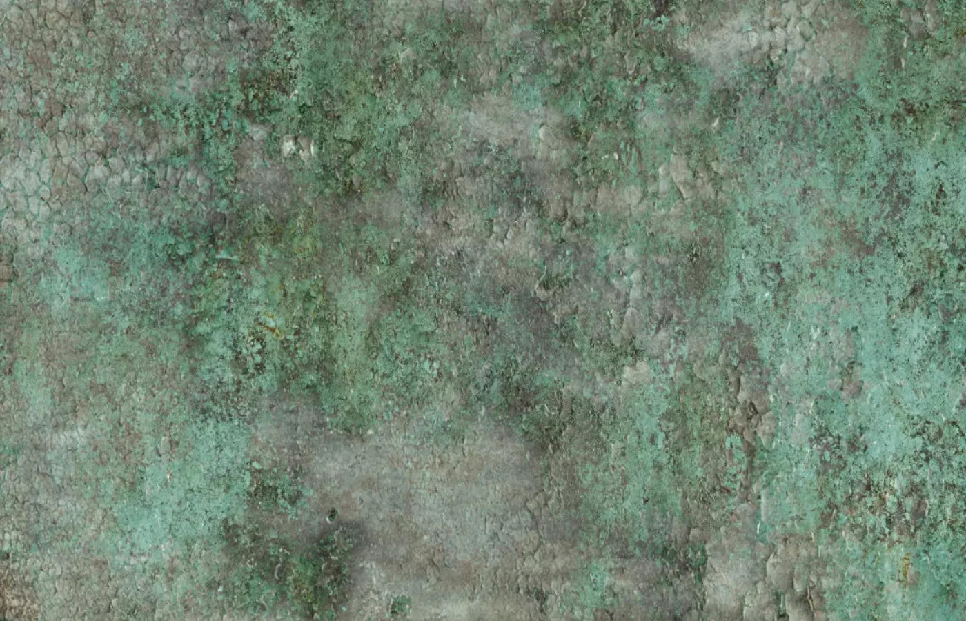 Minted 12X8 Ultracloth ( 144 X 96 Inch ) Backdrop