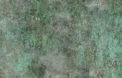 Minted 12X8 Ultracloth ( 144 X 96 Inch ) Backdrop