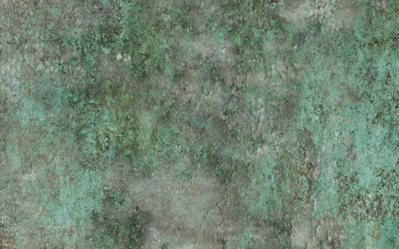 Minted 14X9 Ultracloth ( 168 X 108 Inch ) Backdrop