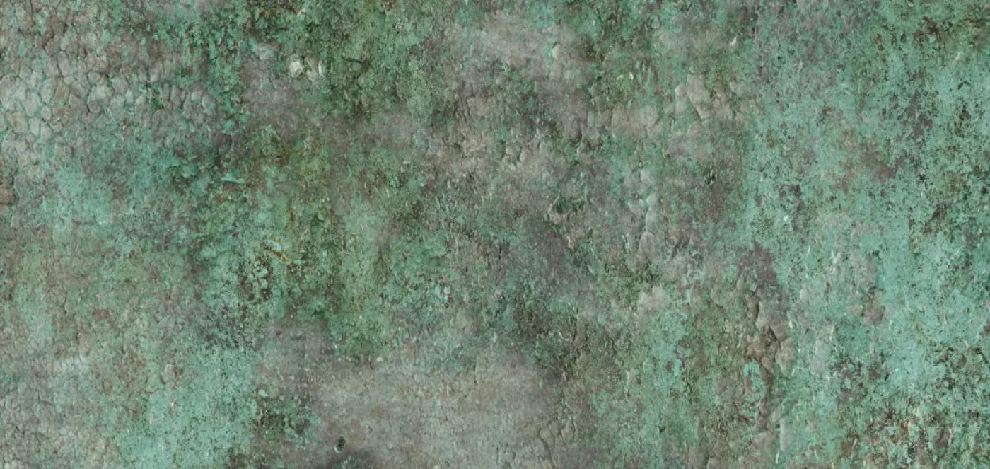 Minted 16X8 Ultracloth ( 192 X 96 Inch ) Backdrop