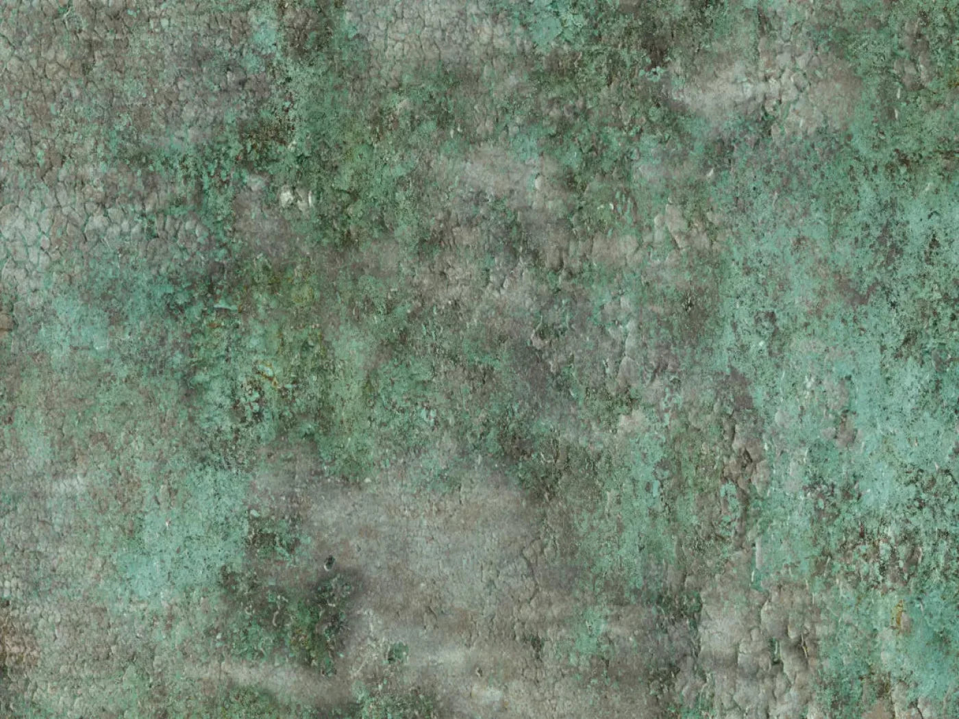 Minted 68X5 Fleece ( 80 X 60 Inch ) Backdrop
