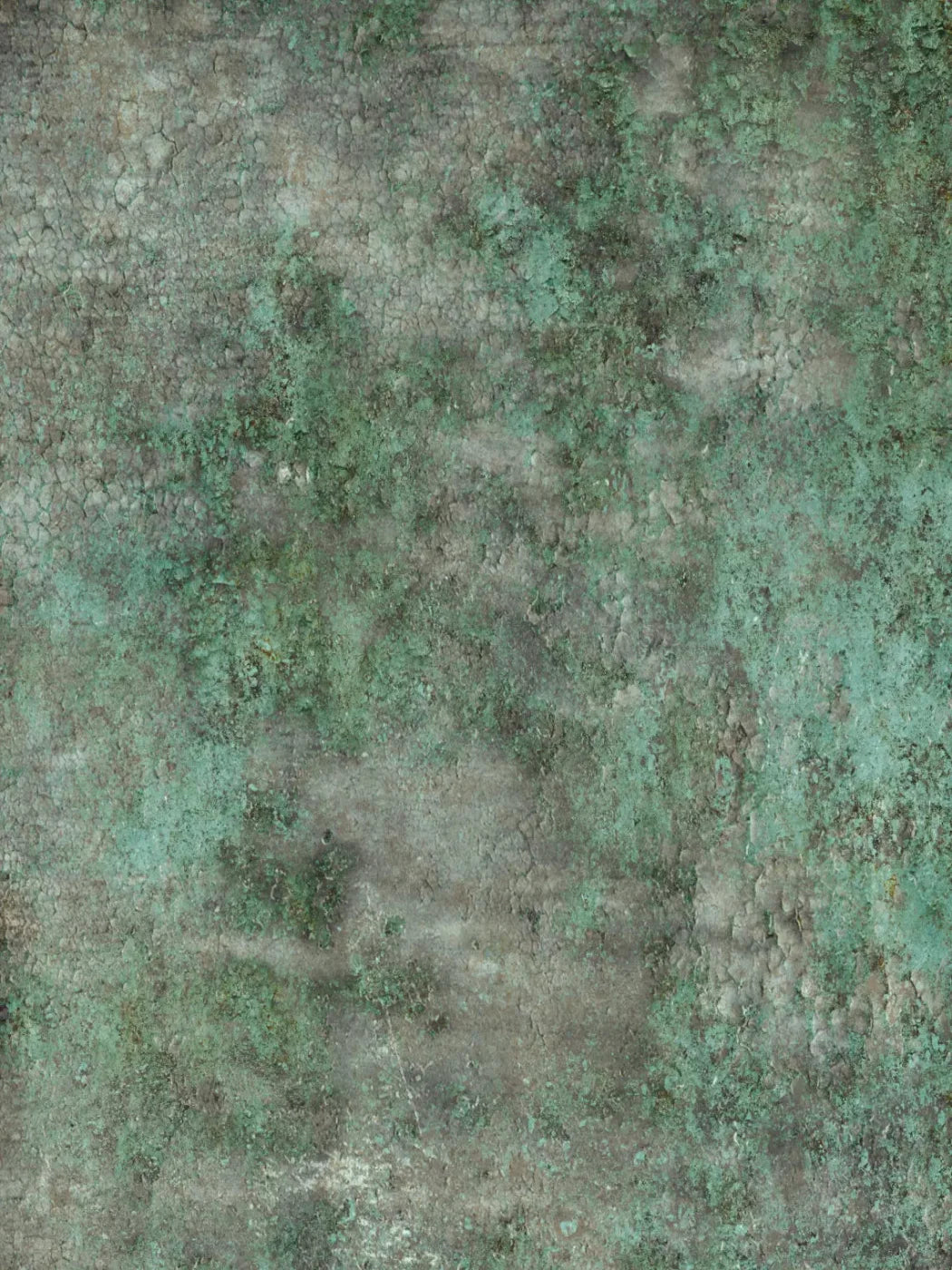 Minted 8X10 Fleece ( 96 X 120 Inch ) Backdrop