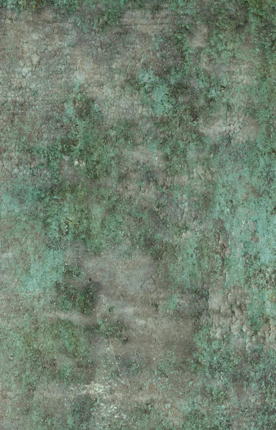 Minted 8X12 Ultracloth ( 96 X 144 Inch ) Backdrop