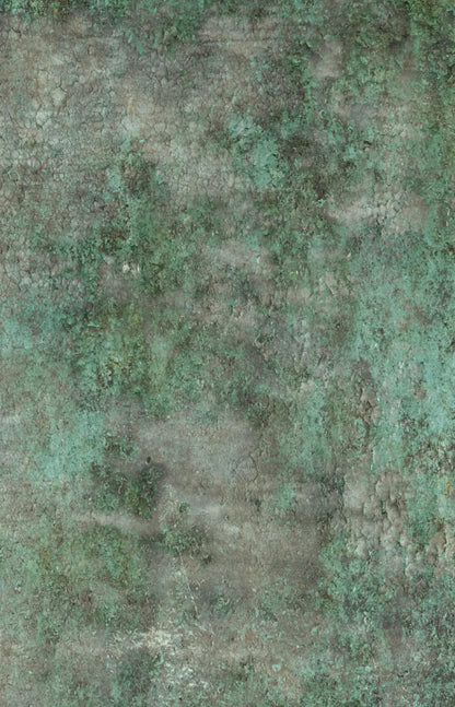Minted 8X12 Ultracloth ( 96 X 144 Inch ) Backdrop