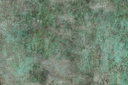Minted 8X5 Ultracloth ( 96 X 60 Inch ) Backdrop