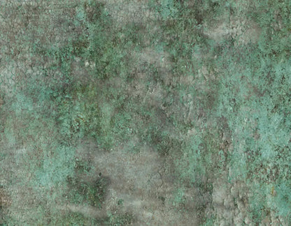 Minted 8X6 Fleece ( 96 X 72 Inch ) Backdrop
