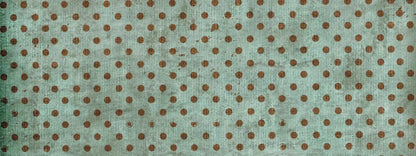 Minted Polka 20X8 Ultracloth ( 240 X 96 Inch ) Backdrop