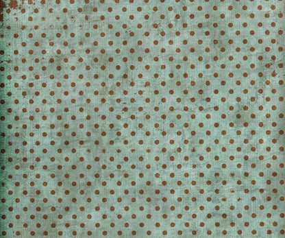 Minted Polka 5X42 Fleece ( 60 X 50 Inch ) Backdrop