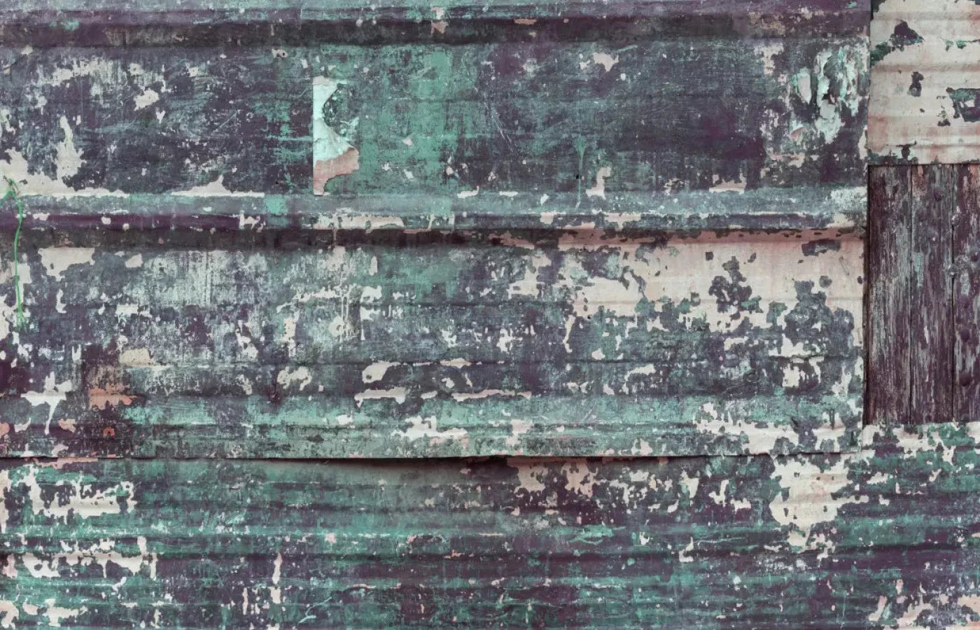 Misfit 12X8 Ultracloth ( 144 X 96 Inch ) Backdrop