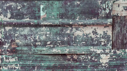 Misfit 14X8 Ultracloth ( 168 X 96 Inch ) Backdrop