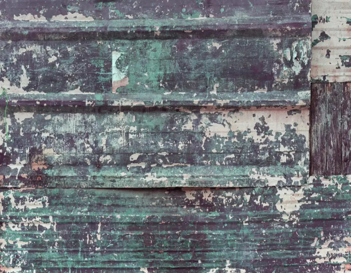 Misfit 8X6 Fleece ( 96 X 72 Inch ) Backdrop