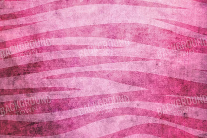 Miss Zebra 8X5 Ultracloth ( 96 X 60 Inch ) Backdrop