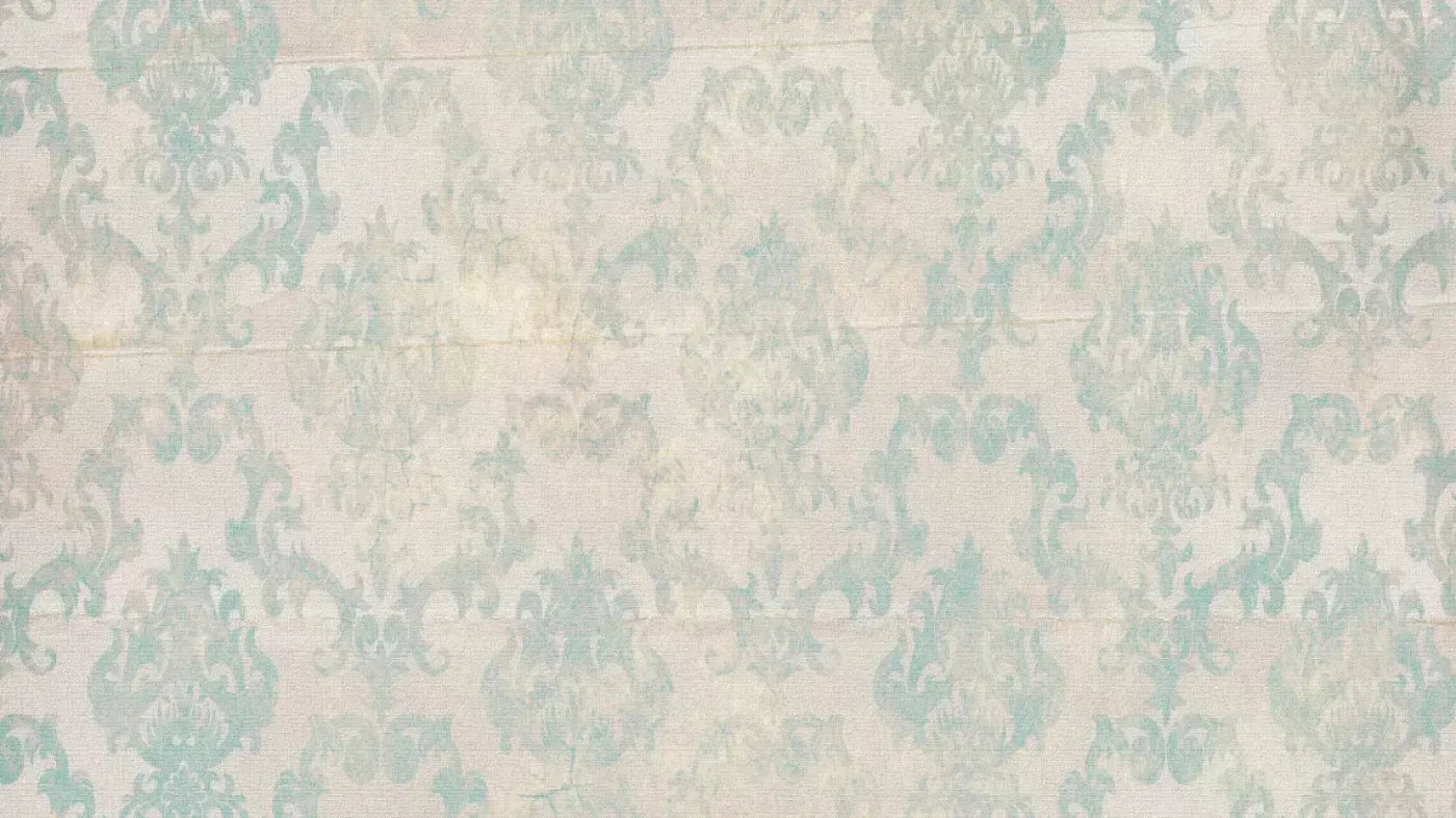 Misty 14X8 Ultracloth ( 168 X 96 Inch ) Backdrop