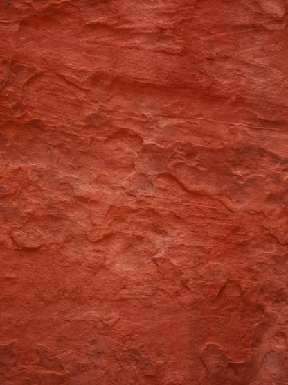 Moab 5X7 Ultracloth ( 60 X 84 Inch ) Backdrop