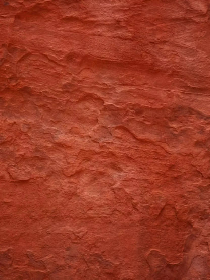 Moab 8X10 Fleece ( 96 X 120 Inch ) Backdrop