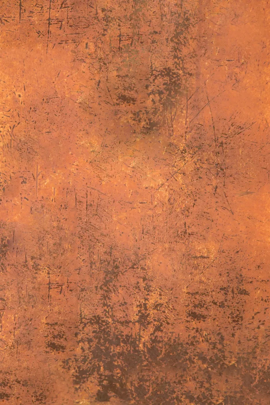 Moab Grunge Backdrop