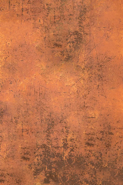 Moab Grunge Backdrop