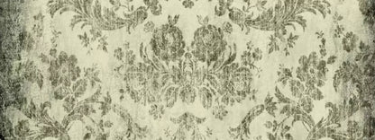 Modest 20’X8’ Ultracloth (240 X 96 Inch) Backdrop