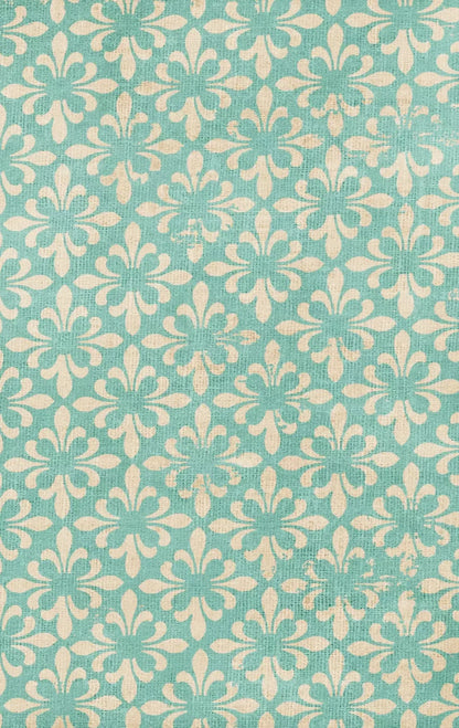 Molly 10’X16’ Ultracloth (120 X 192 Inch) Backdrop