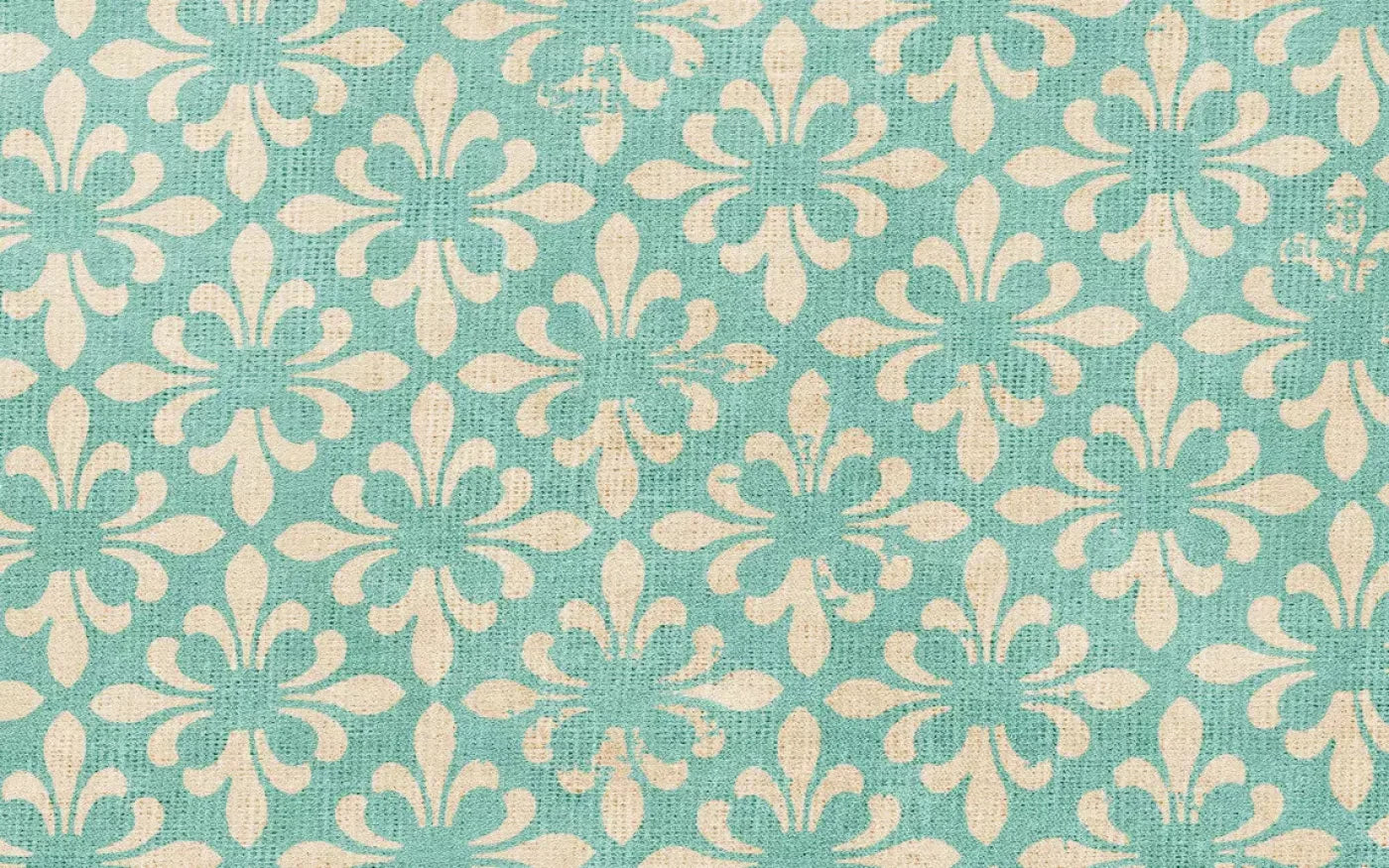 Molly 14’X9’ Ultracloth (168 X 108 Inch) Backdrop
