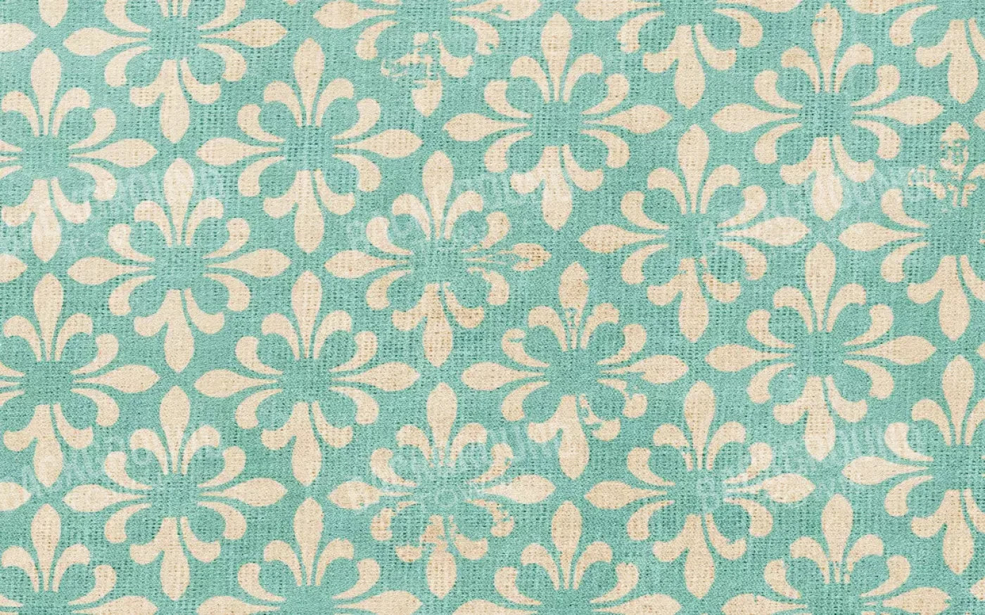 Molly 14’X9’ Ultracloth (168 X 108 Inch) Backdrop