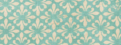 Molly 20’X8’ Ultracloth (240 X 96 Inch) Backdrop