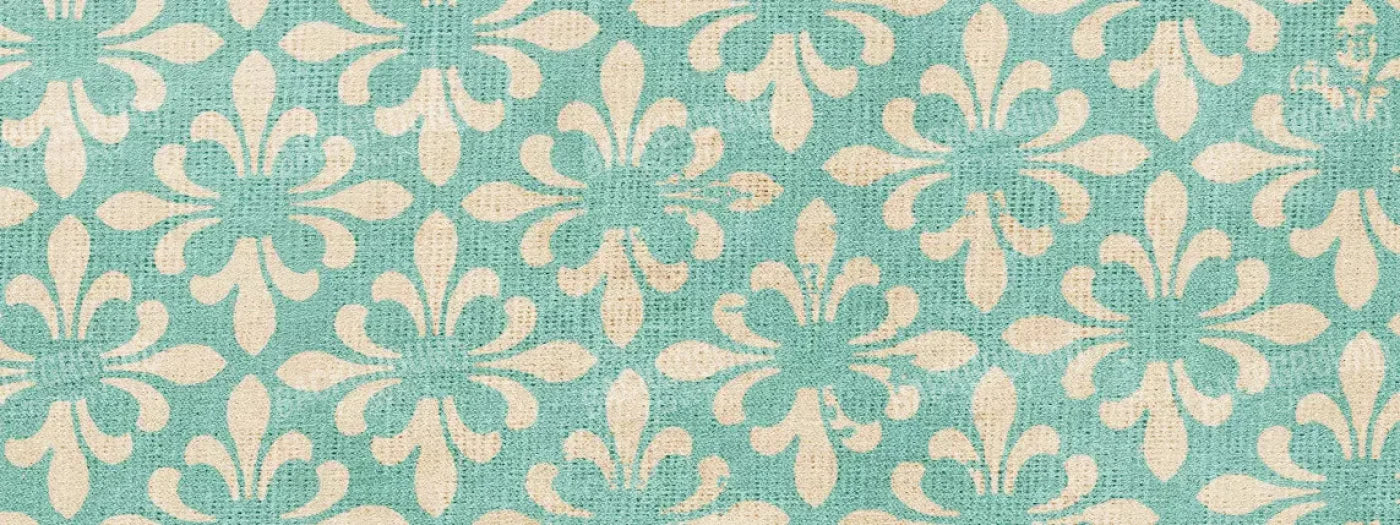 Molly 20’X8’ Ultracloth (240 X 96 Inch) Backdrop