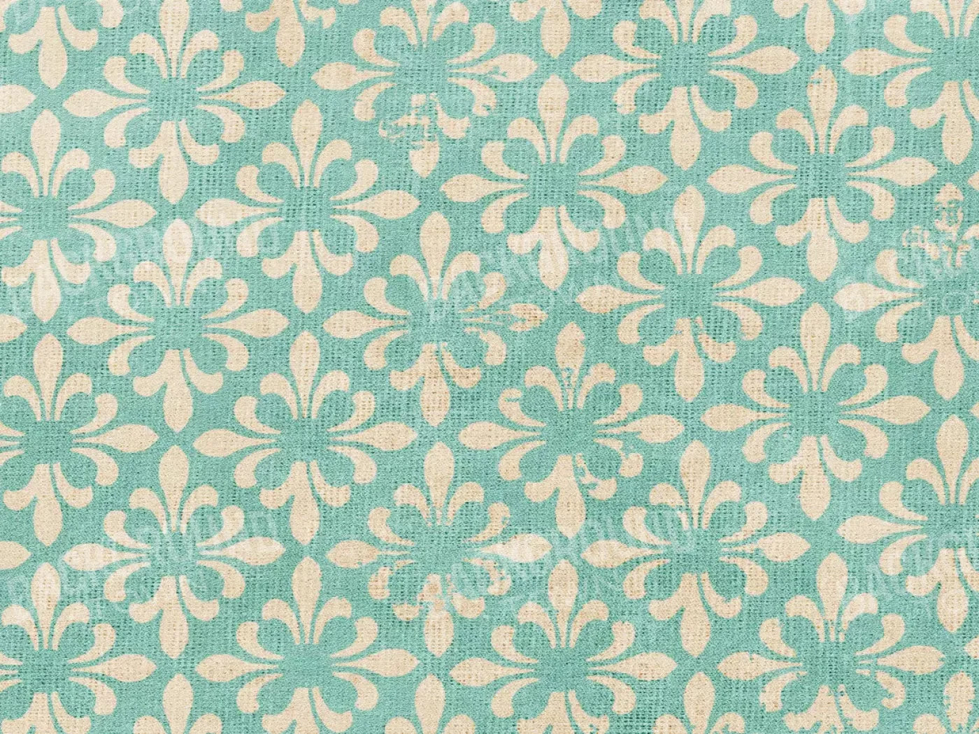 Molly 6’8’’X5’ Fleece (80 X 60 Inch) Backdrop