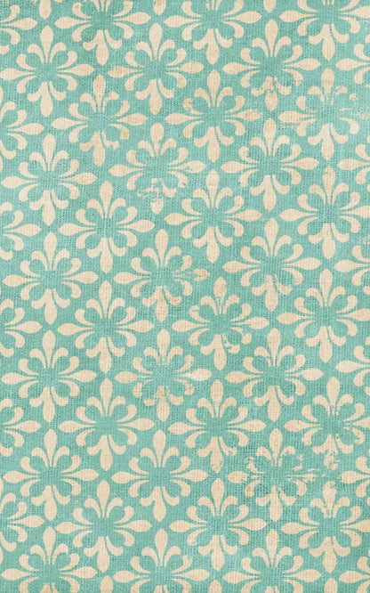 Molly 9’X14’ Ultracloth (108 X 168 Inch) Backdrop