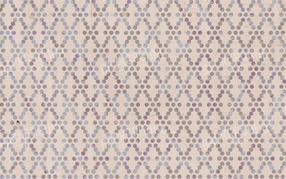 Monica 14’X9’ Ultracloth (168 X 108 Inch) Backdrop