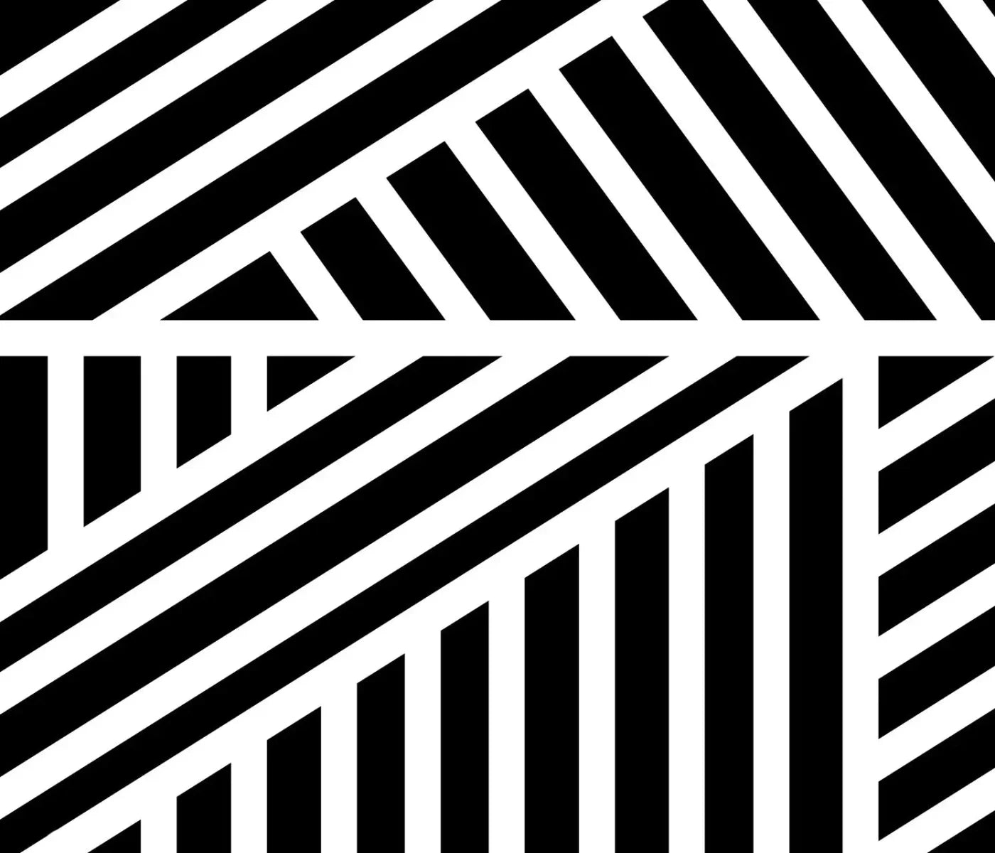 Monochrome 12X10 Ultracloth ( 144 X 120 Inch ) Backdrop