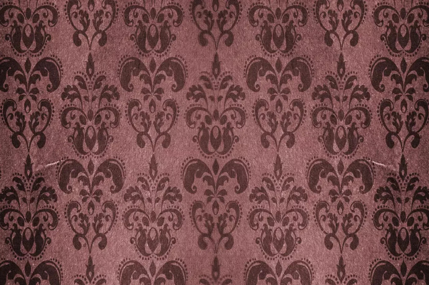 Monroe Backdrop