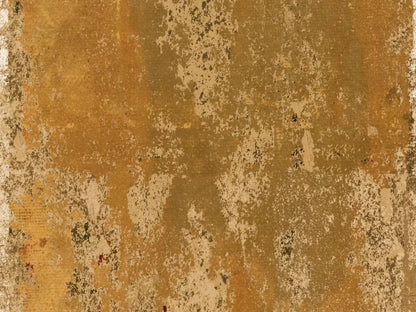 Monty 68X5 Fleece ( 80 X 60 Inch ) Backdrop