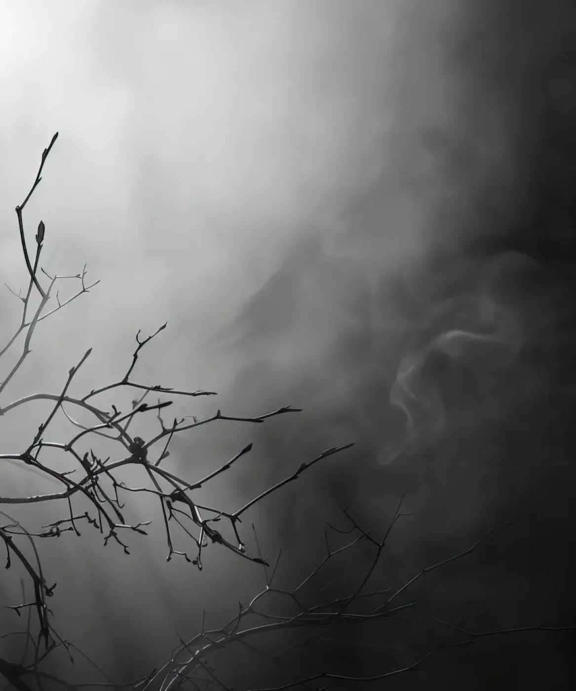 Moonlit Branch 10’X12’ Ultracloth (120 X 144 Inch) Backdrop