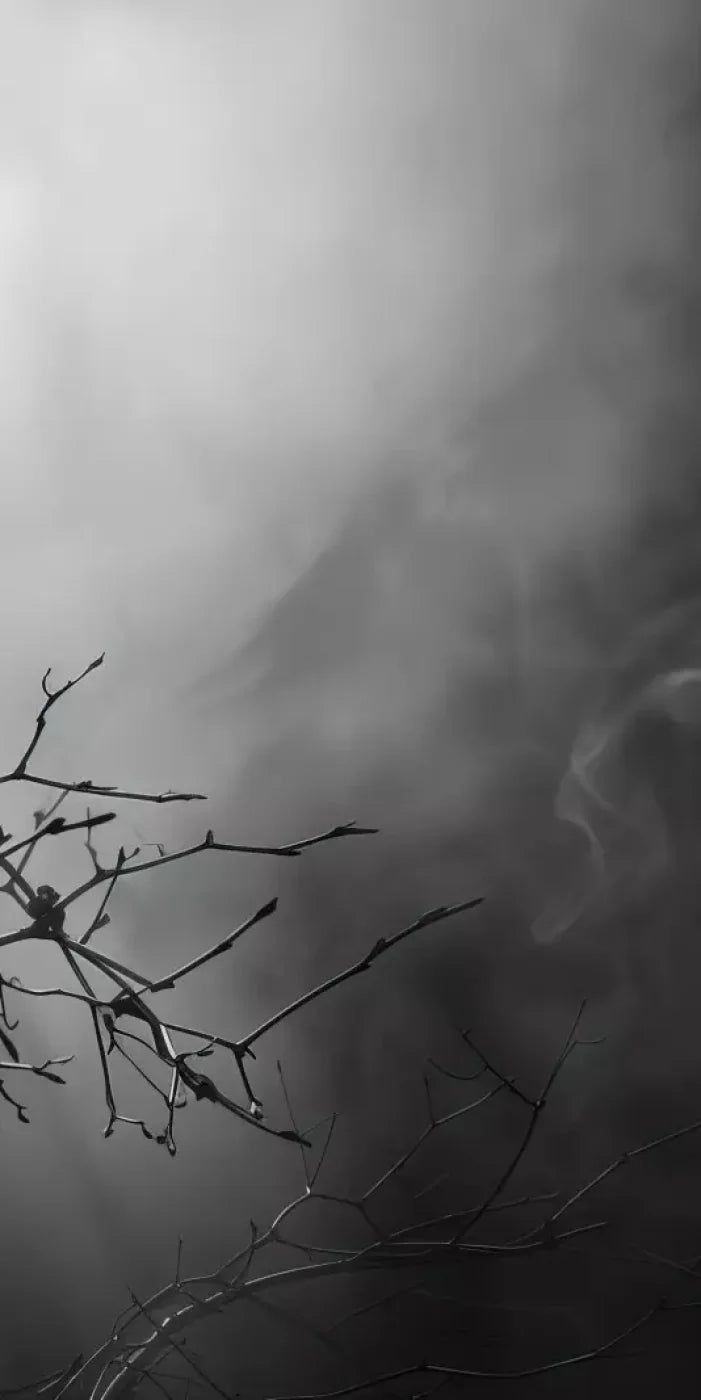 Moonlit Branch 10’X20’ Ultracloth (120 X 240 Inch) Backdrop
