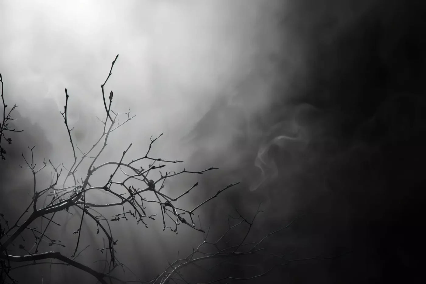 Moonlit Branch 12’X8’ Ultracloth (144 X 96 Inch) Backdrop