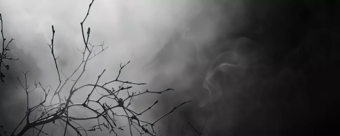 Moonlit Branch 20’X8’ Ultracloth (240 X 96 Inch) Backdrop