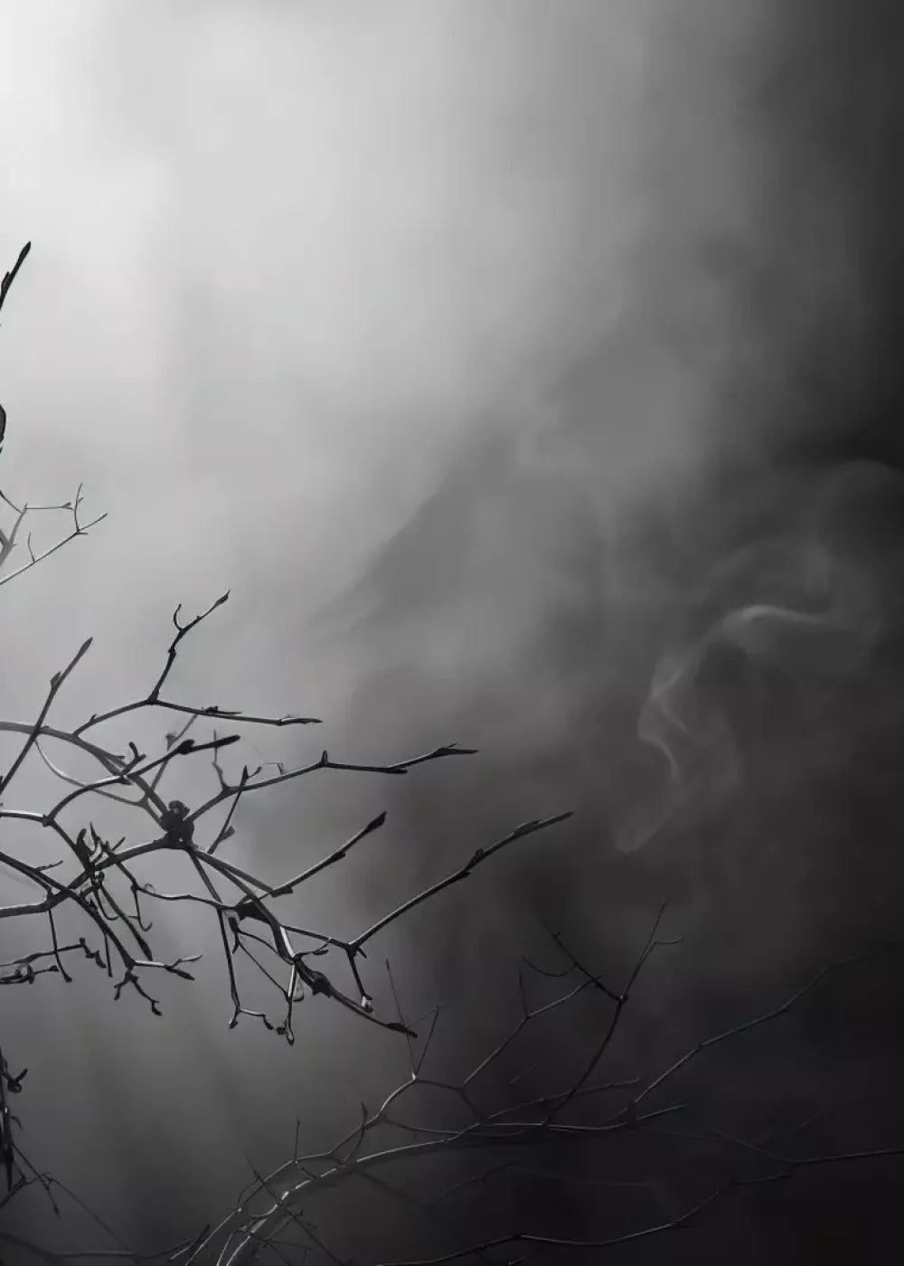 Moonlit Branch 5’X7’ Ultracloth (60 X 84 Inch) Backdrop