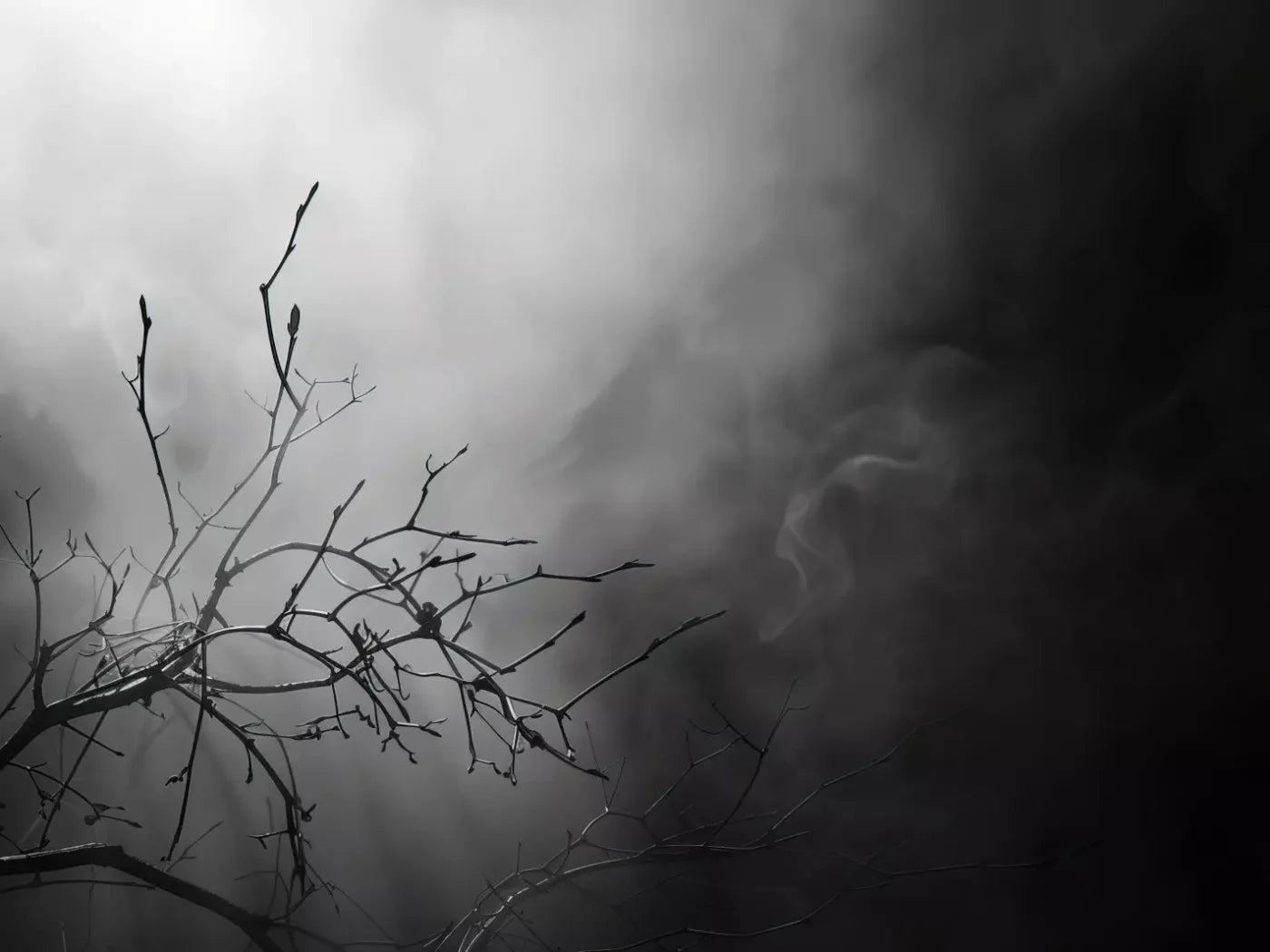 Moonlit Branch 6’8X5’ Fleece (80 X 60 Inch) Backdrop