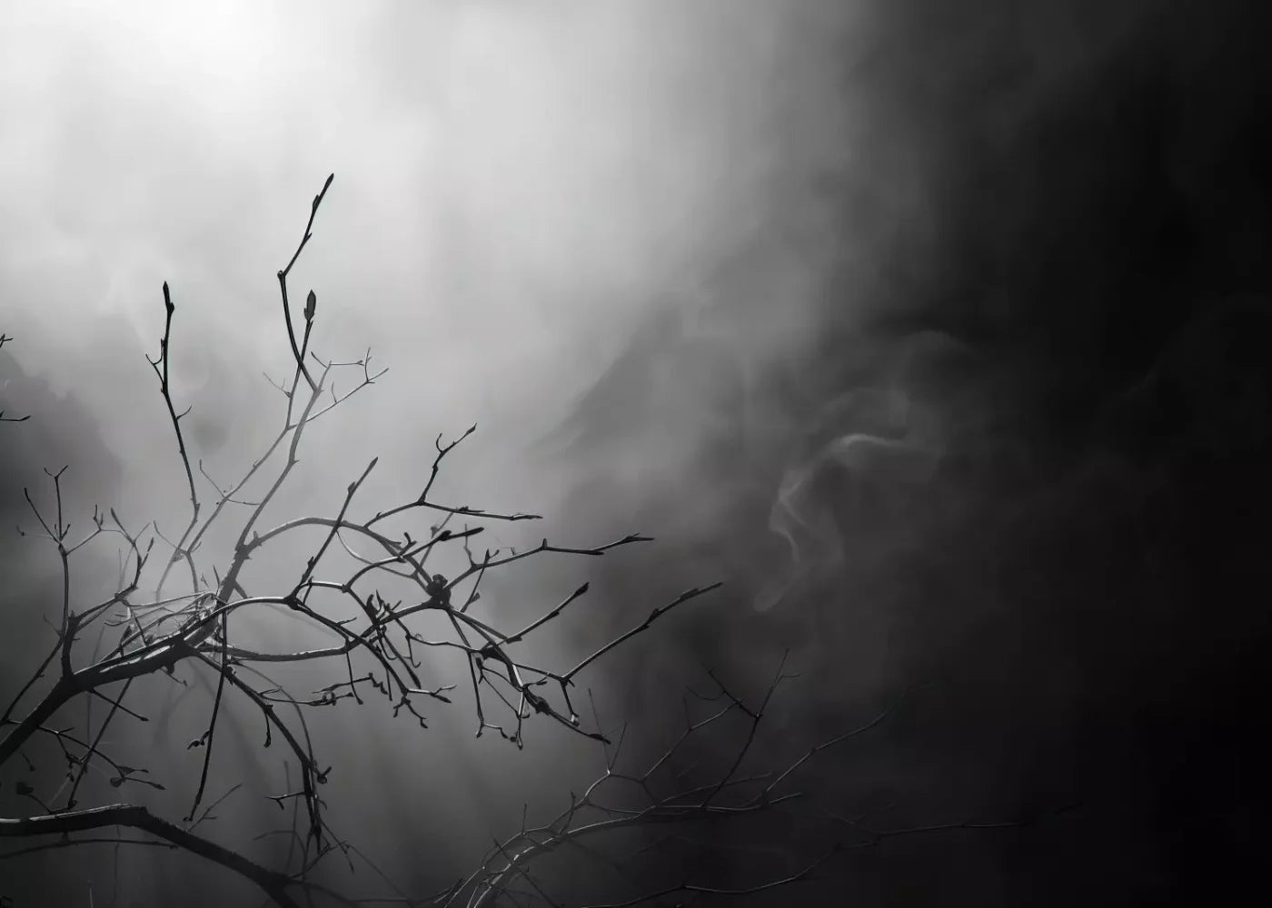 Moonlit Branch 7’X5’ Ultracloth (84 X 60 Inch) Backdrop