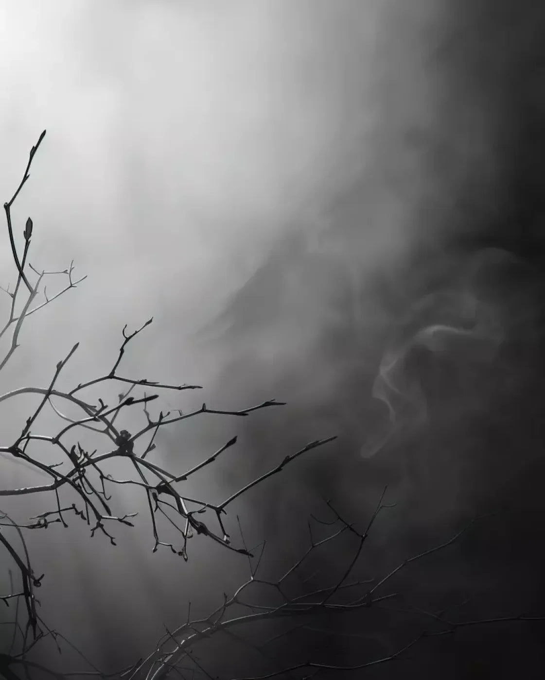 Moonlit Branch 8’X10’ Fleece (96 X 120 Inch) Backdrop