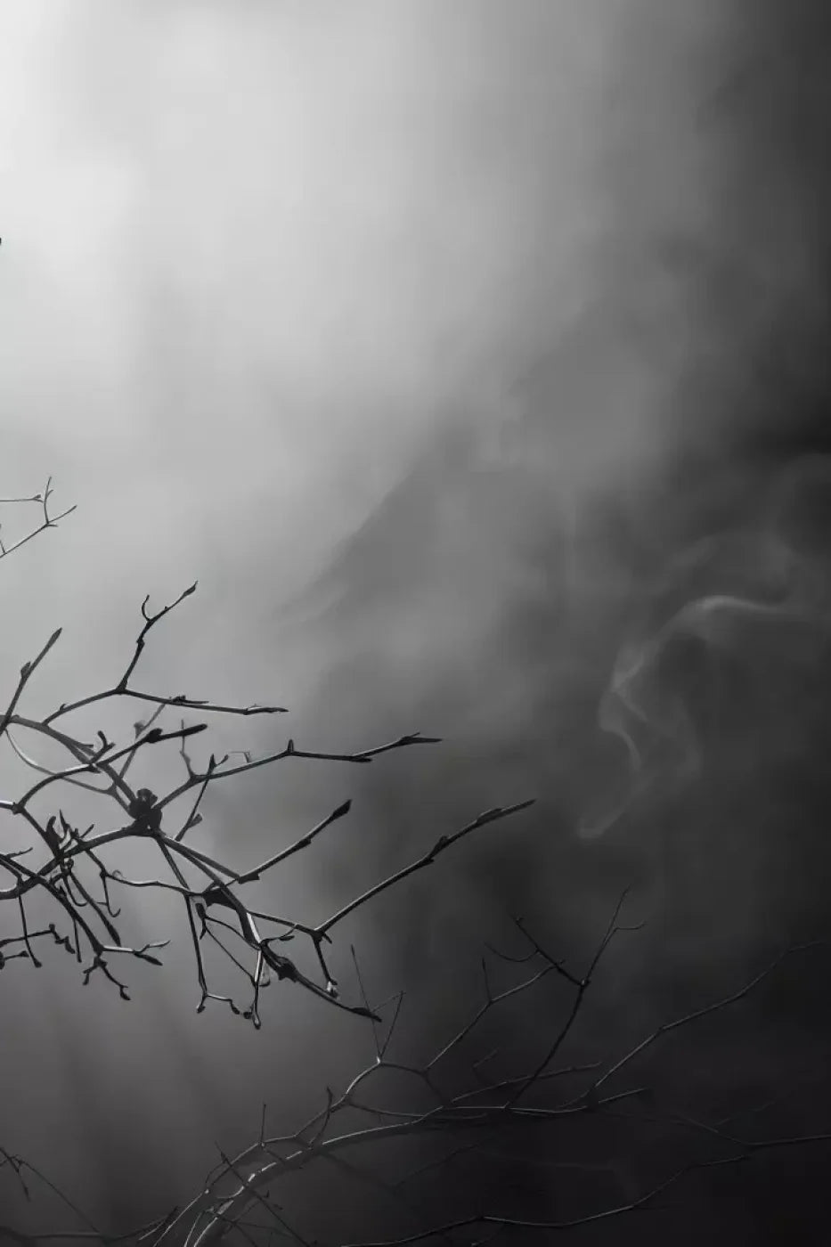 Moonlit Branch 8’X12’ Ultracloth (96 X 144 Inch) Backdrop
