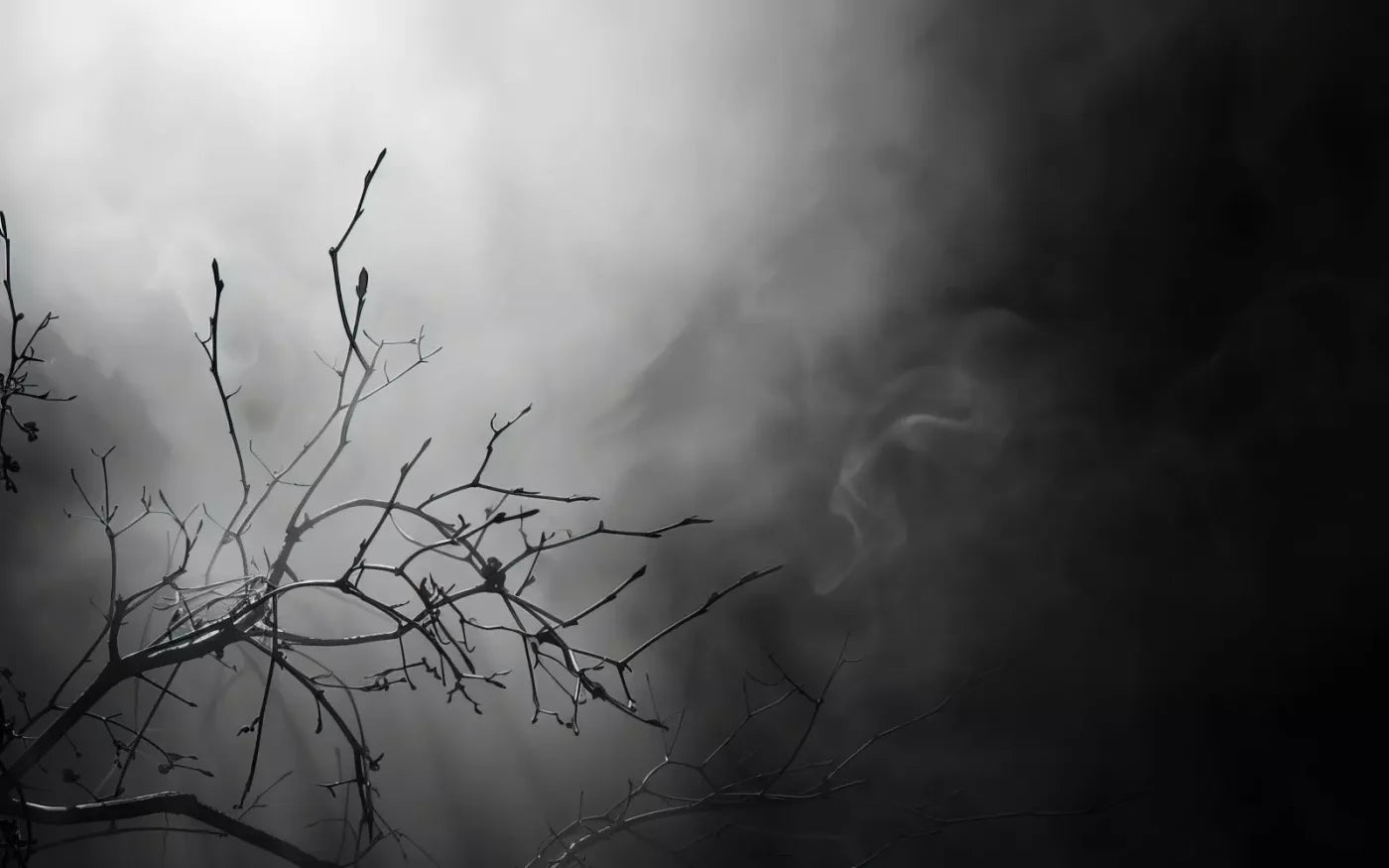 Moonlit Branch 8’X5’ Ultracloth (96 X 60 Inch) Backdrop