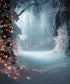 Winter Night Backdrop for Photography
