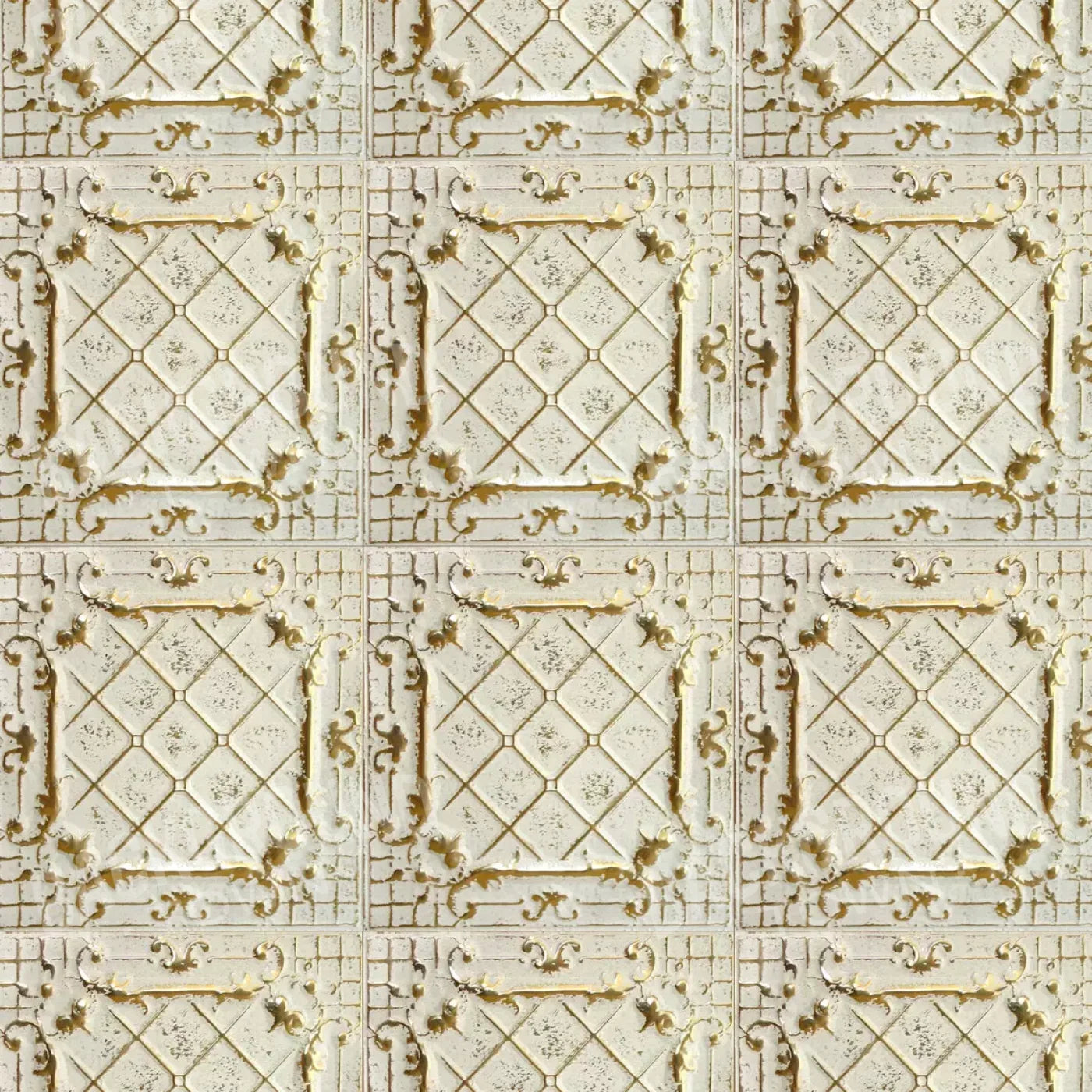 Morgan2 10X10 Ultracloth ( 120 X Inch ) Backdrop