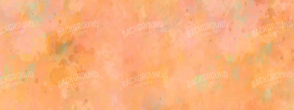 Morgana 20X8 Ultracloth ( 240 X 96 Inch ) Backdrop