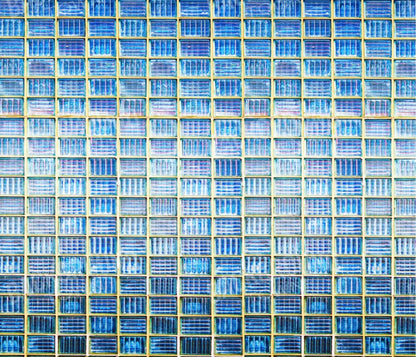 Mosaic Tile 12X10 Ultracloth ( 144 X 120 Inch ) Backdrop