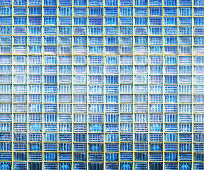 Mosaic Tile 5X42 Fleece ( 60 X 50 Inch ) Backdrop