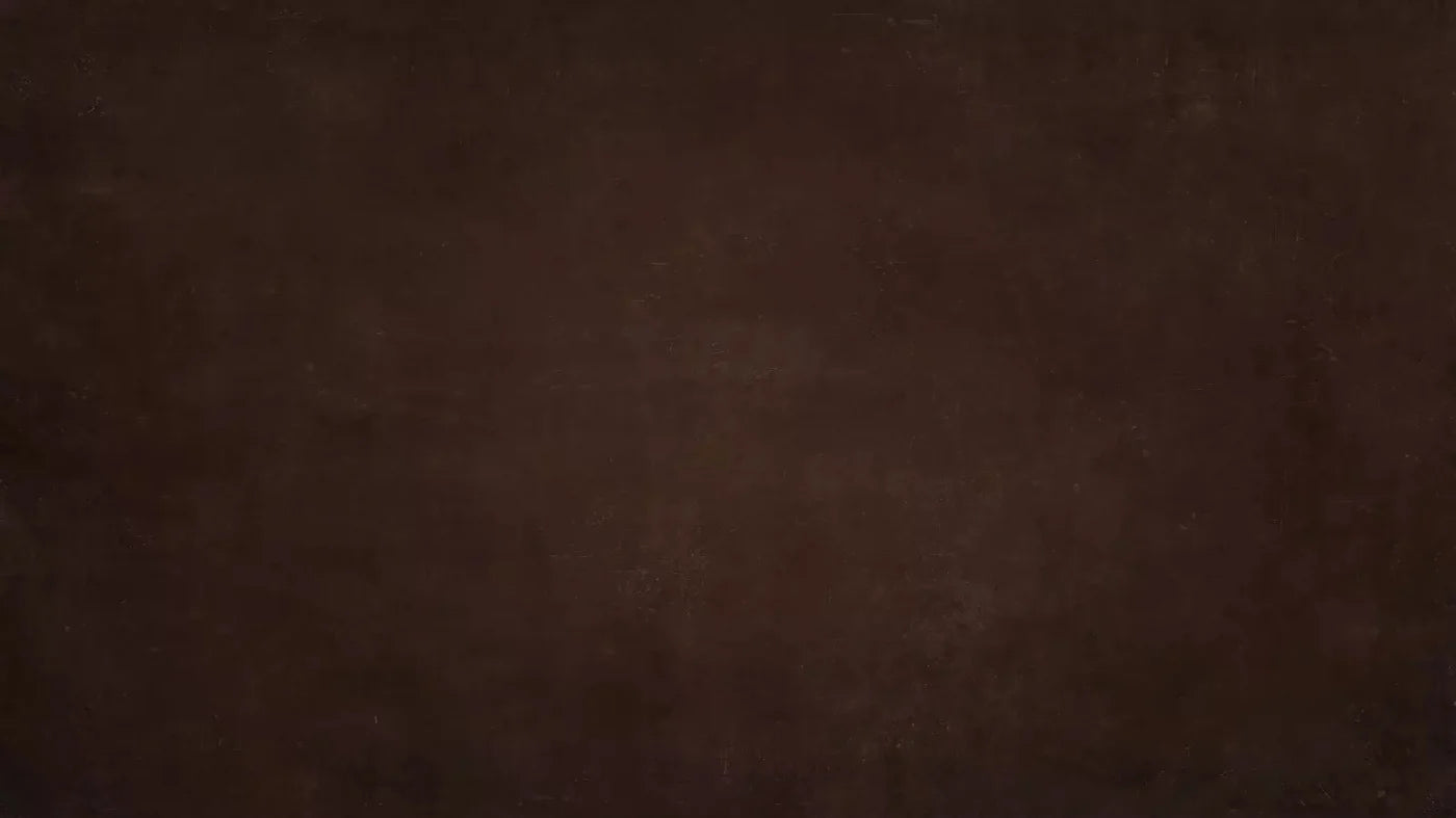 Moss Brown 14X8 Ultracloth ( 168 X 96 Inch ) Backdrop