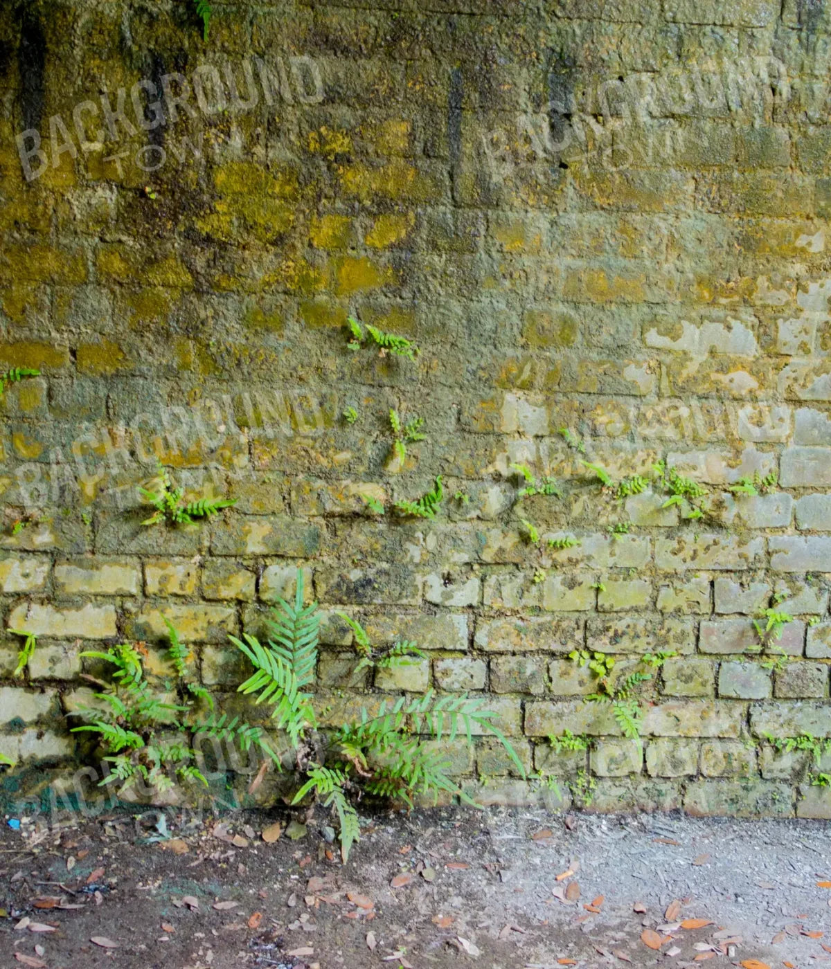 Moss Wall 1 10X12 Ultracloth ( 120 X 144 Inch ) Backdrop